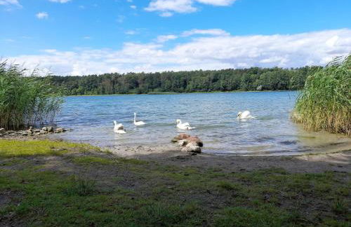 Appartement in Strausberg mit Frühstück inklusive - Foto 35