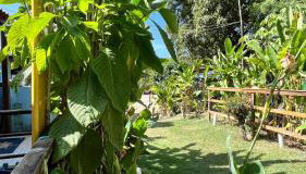 Tiny House Noronha - Foto 4, Garden view