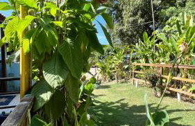 Tiny House Noronha - Foto 4