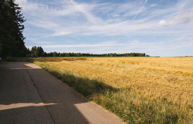 Ferienwohnung Marianne in Neuweiler - Foto 26