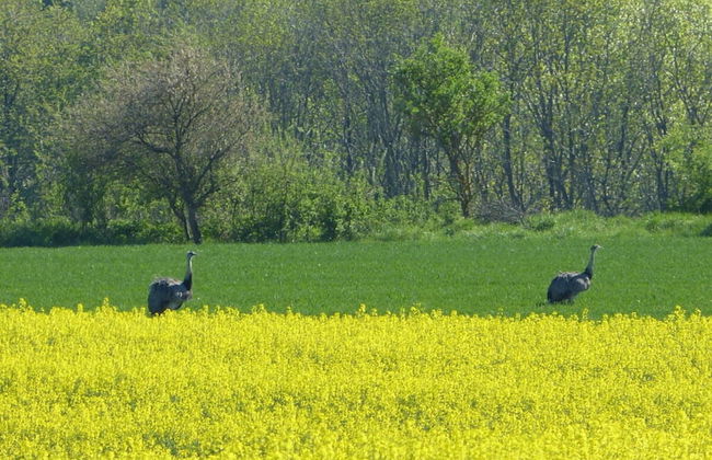 Holt Stuuv Comfortable Holiday Residence - Foto 11