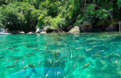 Azusa Paraty - Photo 7