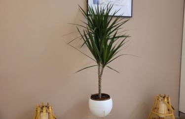 La casa Sole - Foto 6