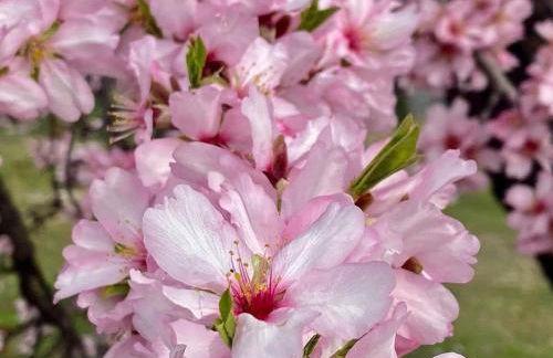 Casa Angeles - Foto 23