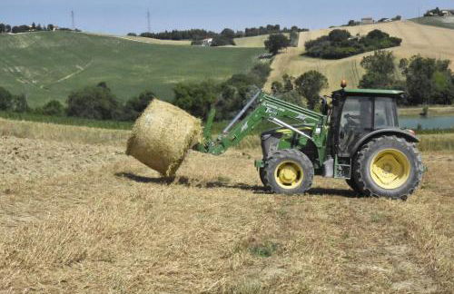 Agriturismo Fattoria del Colle - Foto 54