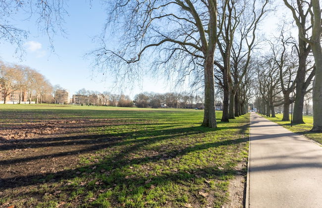 Serene and Spacious 1 Bedroom Garden Flat in Clapton - Foto 39