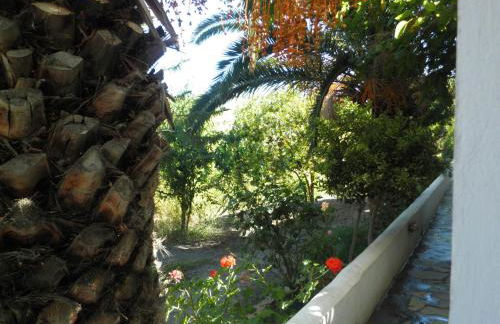 Mavrikou Helen Apartments - Foto 44