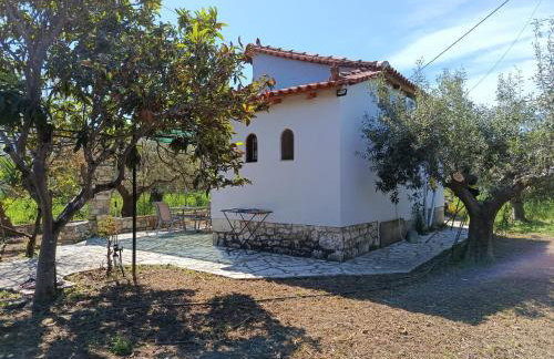 Vicino al mare - Foto 16