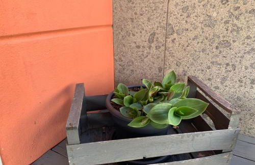 La Terrazza - Foto 7