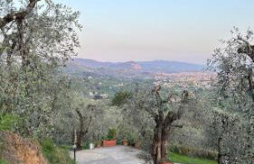 Oliveto Tuscany - Foto 16