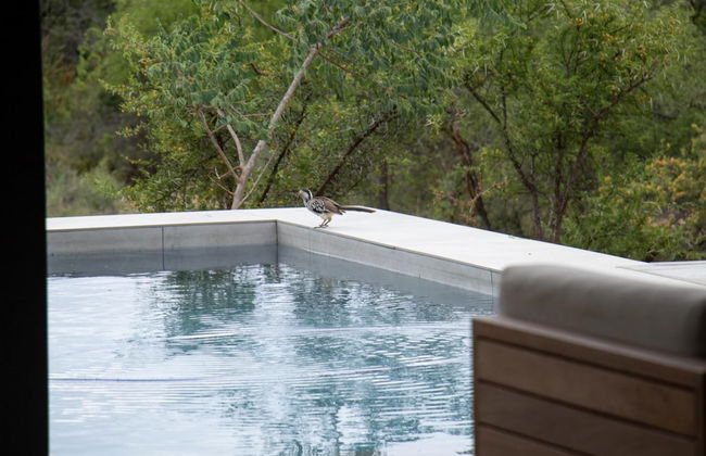 Villa Tau in Hoedspruit - Photo 27