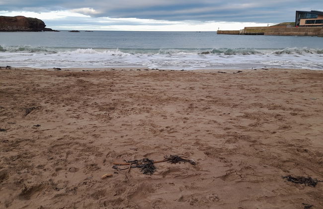 Charming Eyemouth 1-bed Apt, Sleeps 2 Near Beach - Foto 1