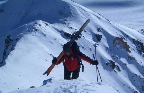 Beim Gruber - Foto 37