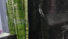 Villa Palace Fernandes with Jacuzzi - Foto 5