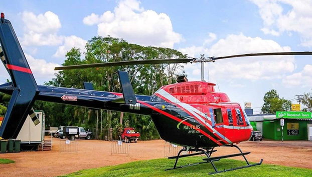 The True Territory Tour: Helicopter Flight, Airboat Ride, Jumping Crocodile Cruise and Lunch - Photo 5