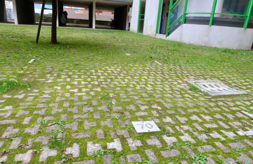 Grazioso Appartamento n 70 a Bibione a 100mt dal mare - Foto 25