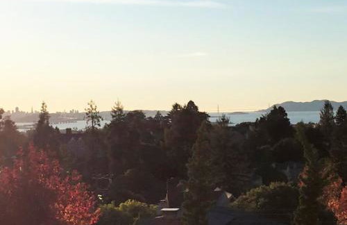 Elegant Spacious Prvt Studio Upscale Berkeley - Photo 46