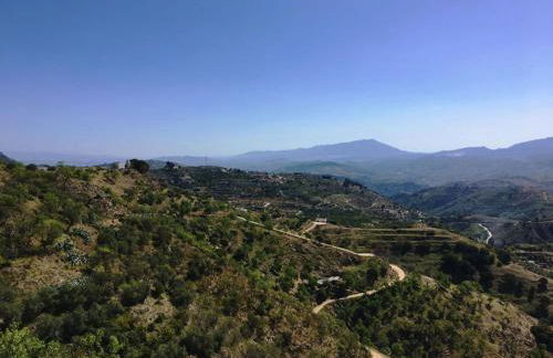 Centro de Arte - Foto 11