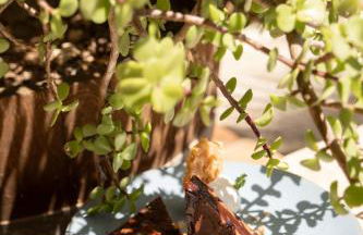 Agroturismo Son Marge - Photo 66