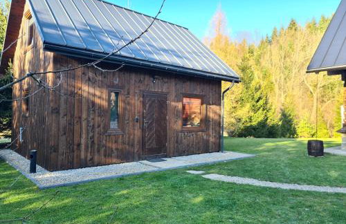 Domek w Bieszczadach Mchawa 144 - Foto 5