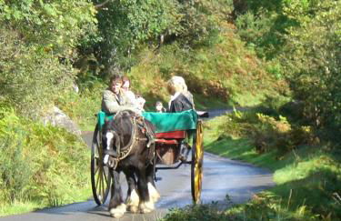 Lieblingsnest Detmold - Foto 67