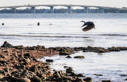 Lido Beach Respite - Foto 17