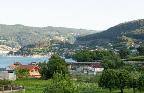 A Oliveira - Foto 19