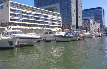 Fantasie Boot EINHORN - Foto 2