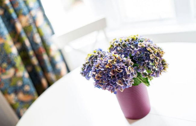 The Gate Lodge - Modern and Period Combined - Foto 29