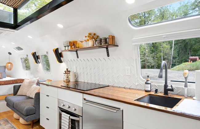 Silver Fern in Pisgah Forest - Foto 21