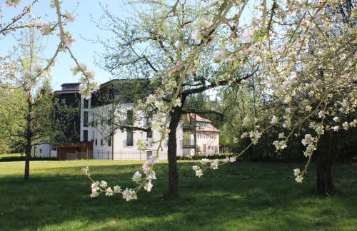 Waldhotel Rainau - Foto 9