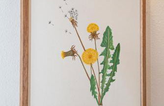 Agriturismo La Costa - Photo 35