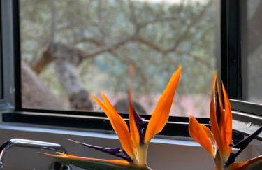 Wooden House Apts - Between Balos & Elafonissi - Foto 36