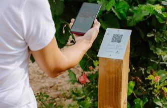 Pago de Tharsys - Foto 42