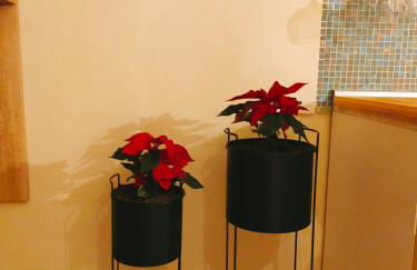 MancioBiba Home - Foto 55