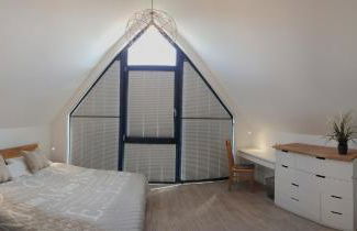 Meeresstern - Photo 16