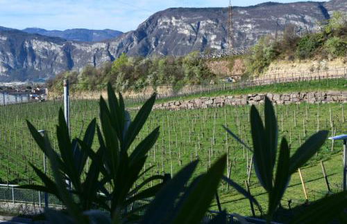 Home d'elite Il Vitigno - Foto 20