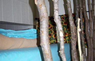 Cozy Wood Shed Tiny House Near Old Hickory Lake w/ Full Kitchen, Fire Pit & Breakfast - Foto 25