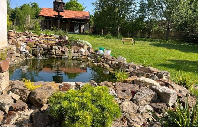 Pension Zelený grunt - Photo 60