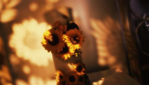 Sunflower Place - dimora del girasole - Foto 5