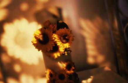 Sunflower Place - dimora del girasole - Foto 5