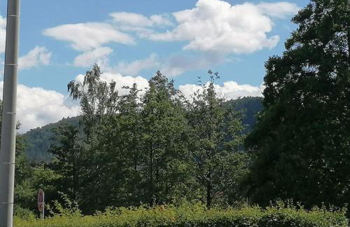 Töpferblick - Foto 26