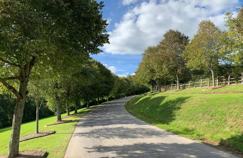 Lazy Bear Lodge with Hot Tub - Finlake Resort and Spa in Devon - Foto 17