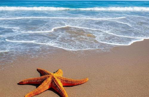 Stella di Mare - Cà Savio - Foto 48