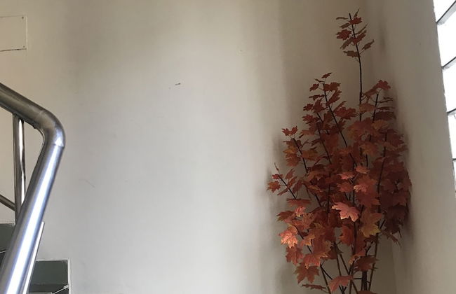 Living At Home - Foto 27