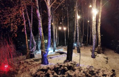 Domek blisko granicy u Darka - Photo 27