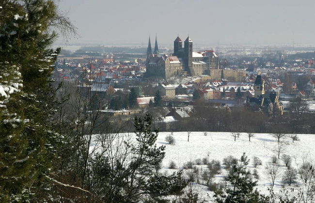 Holiday Home Near the Forest in Thale - Photo 25