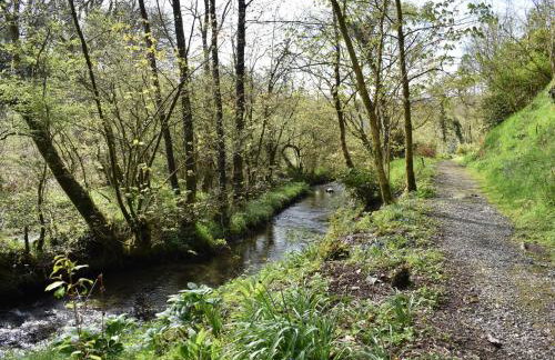 Kingfisher - Foto 37