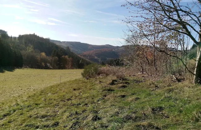 Ebenerdige Wohnung mit Terrasse in Winterberg - Foto 35