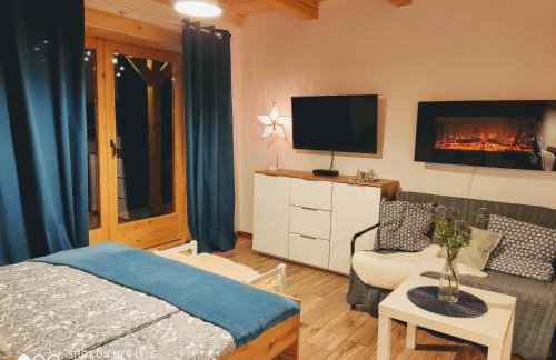 Apartament Borowikowe Zacisze - Foto 24
